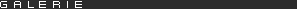 Head_Galerie.gif